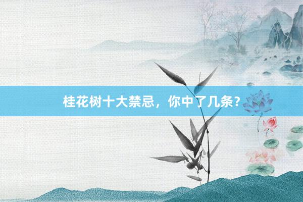 桂花树十大禁忌，你中了几条？