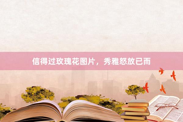 信得过玫瑰花图片，秀雅怒放已而
