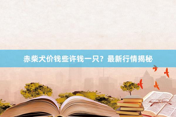 赤柴犬价钱些许钱一只？最新行情揭秘