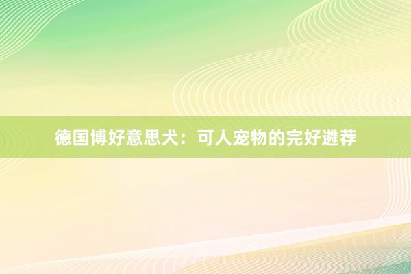 德国博好意思犬：可人宠物的完好遴荐