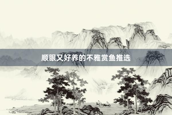 顺眼又好养的不雅赏鱼推选